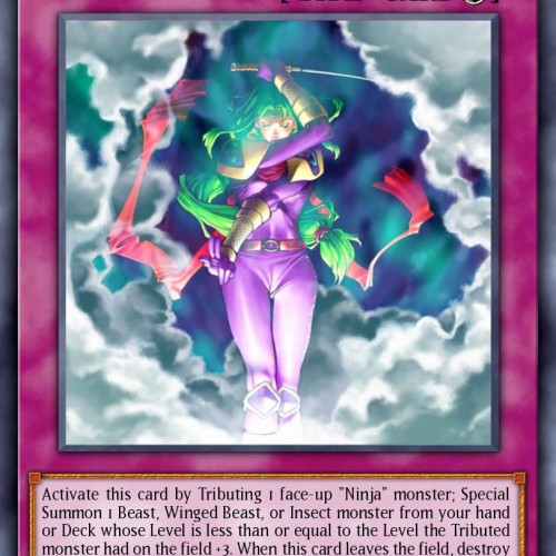 Ninjitsu Art of Transformation [Ancient Sanctuary] Near Mint 1st Edition